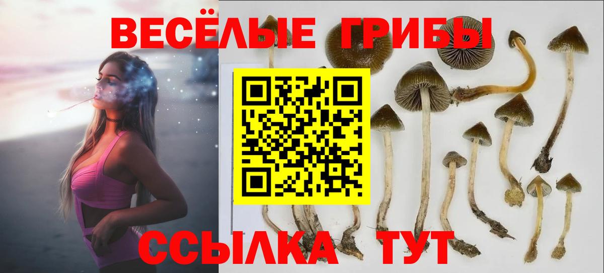 Галлюциногенные грибы Psilocybe  Галлюциногенные грибы мухоморы  Можга  Вход с VPN 