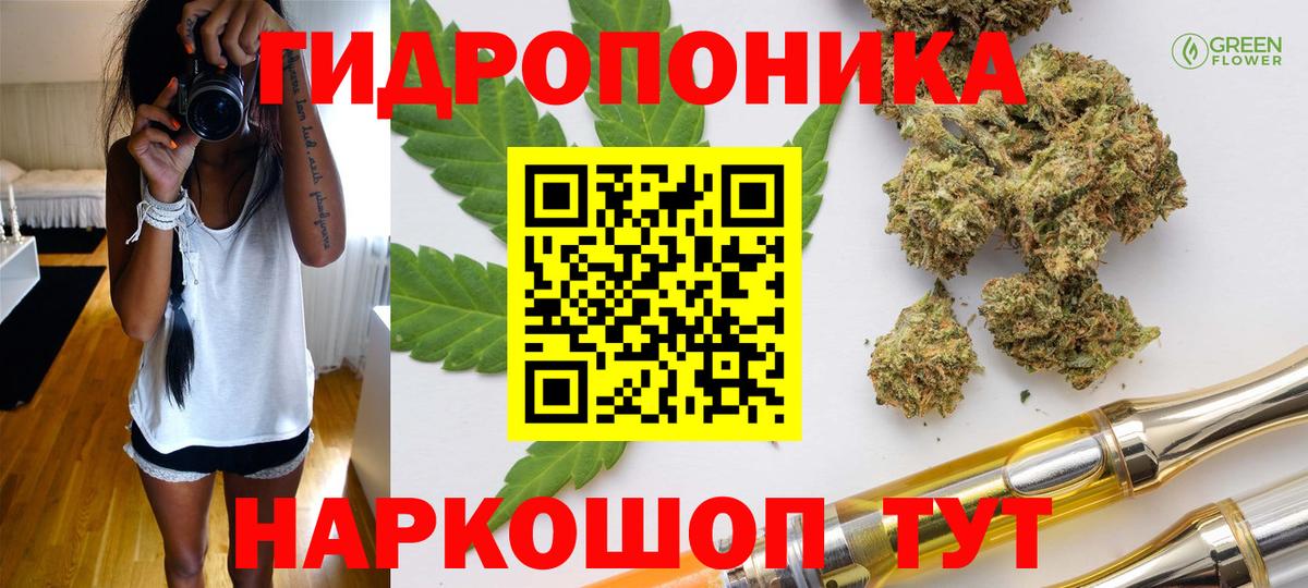 Можга  Канабис тримм  Бошки Шишки MAZAR  Канабис Bruce Banner  Вход с VPN 